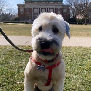 Meet your Posher, Laura